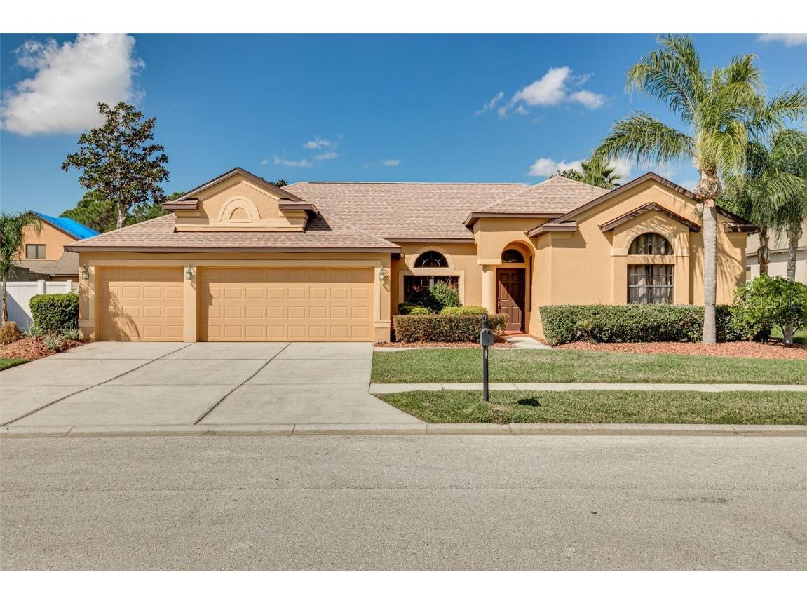 10807 Rain Lilly Pass Land O Lakes FL 34638 U8192655 image1