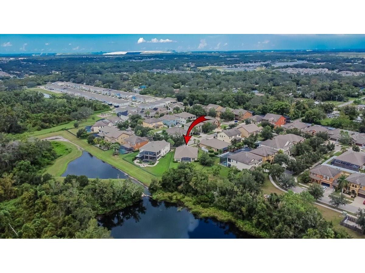 10808 Charmwood Drive Riverview FL 33569 TB8427816 image40