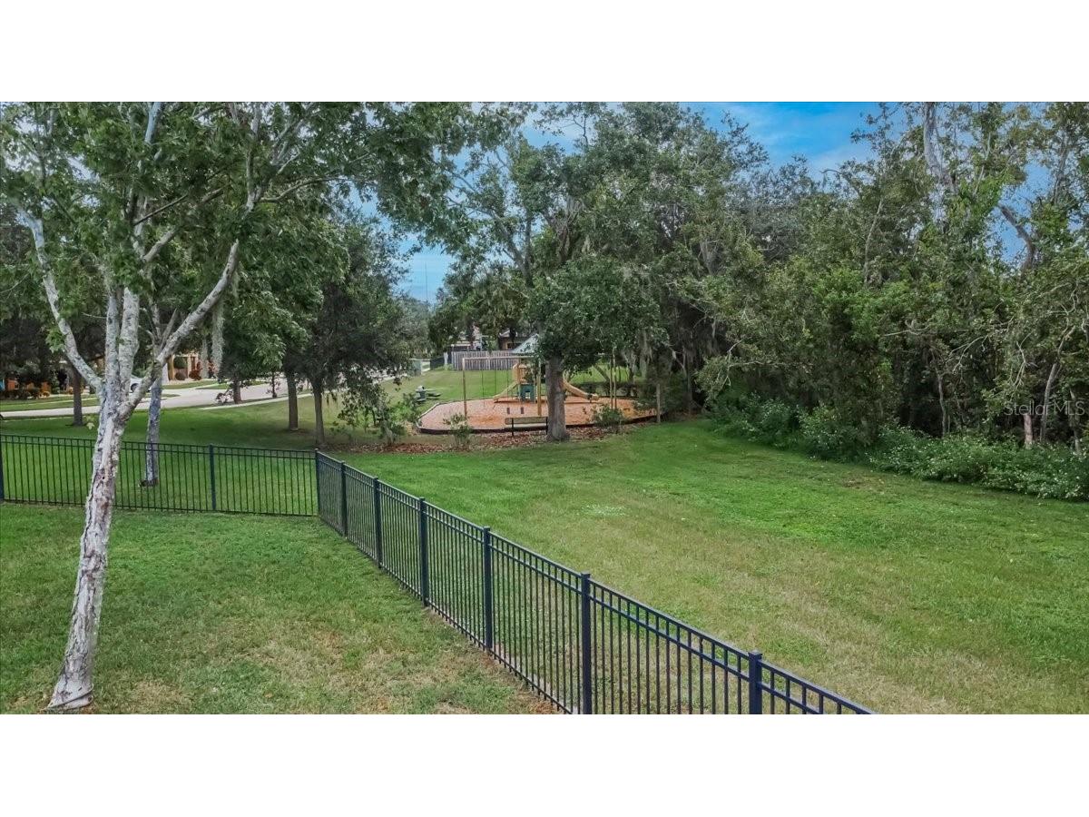 10808 Charmwood Drive Riverview FL 33569 TB8427816 image41