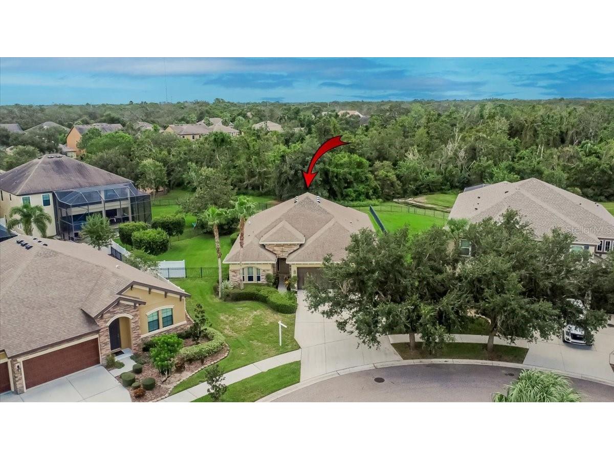 10808 Charmwood Drive Riverview FL 33569 TB8427816 image44