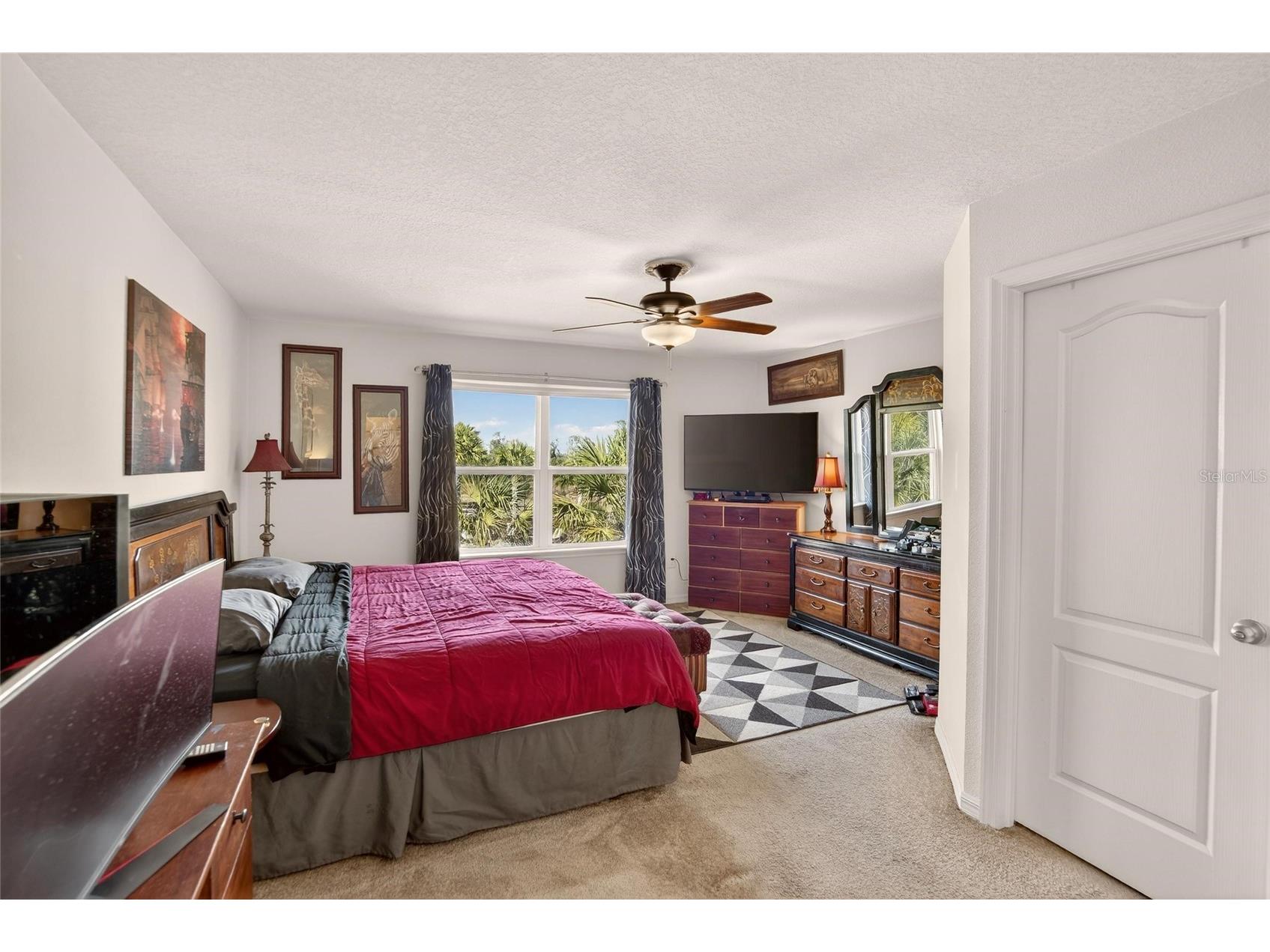 10808 Verawood Drive Riverview FL 33579 TB8469990 image19