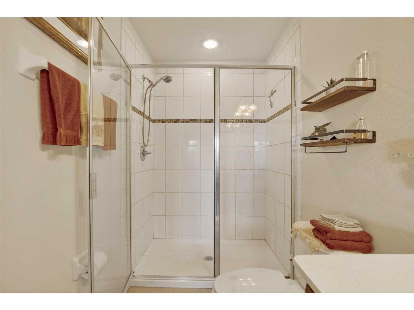 10808 Verawood Drive Riverview FL 33579 TB8469990 image24