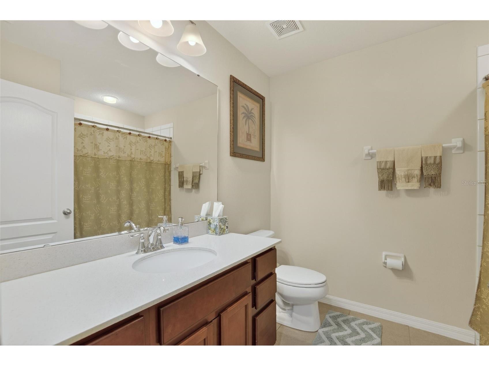 10808 Verawood Drive Riverview FL 33579 TB8469990 image31
