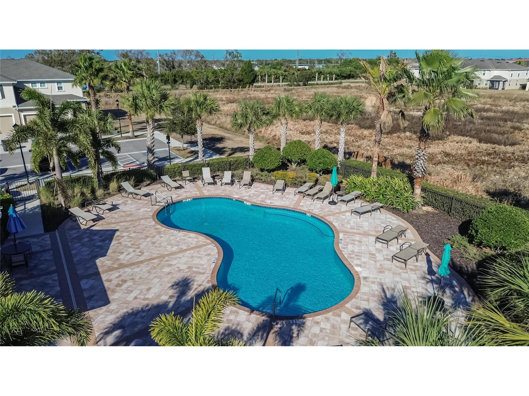 10808 Verawood Drive Riverview FL 33579 TB8469990 image38