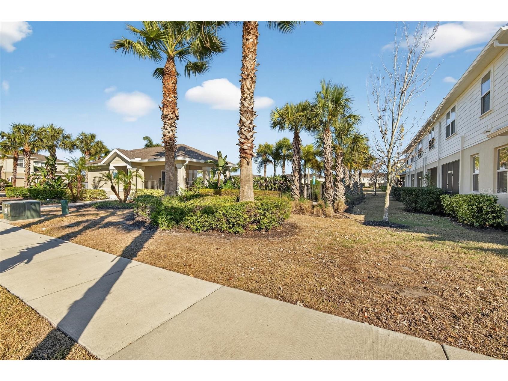 10808 Verawood Drive Riverview FL 33579 TB8469990 image64