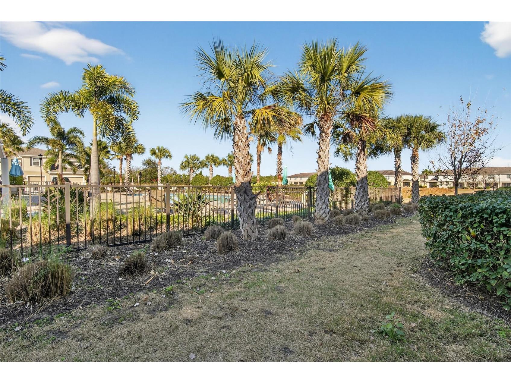 10808 Verawood Drive Riverview FL 33579 TB8469990 image65