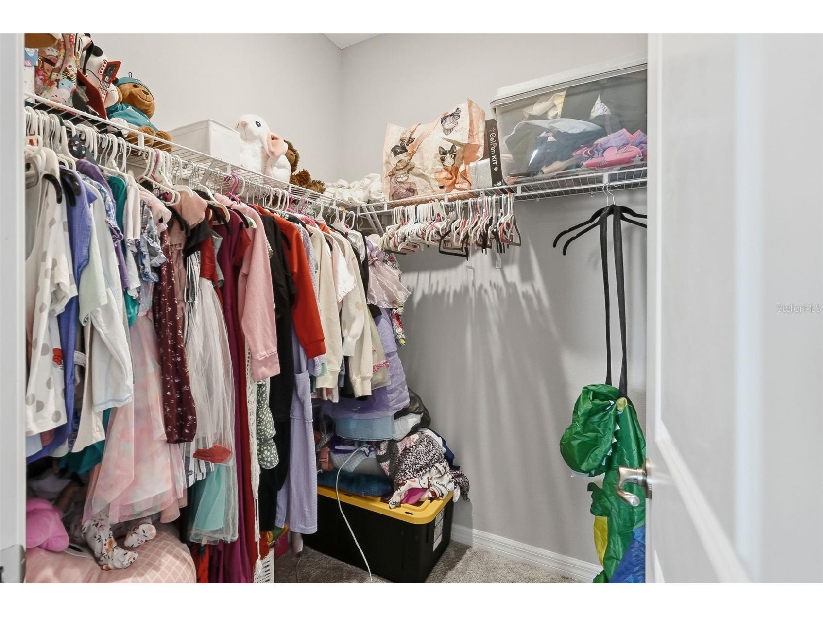 10808 Whitland Grove Drive Riverview FL 33578 A4693663 image38