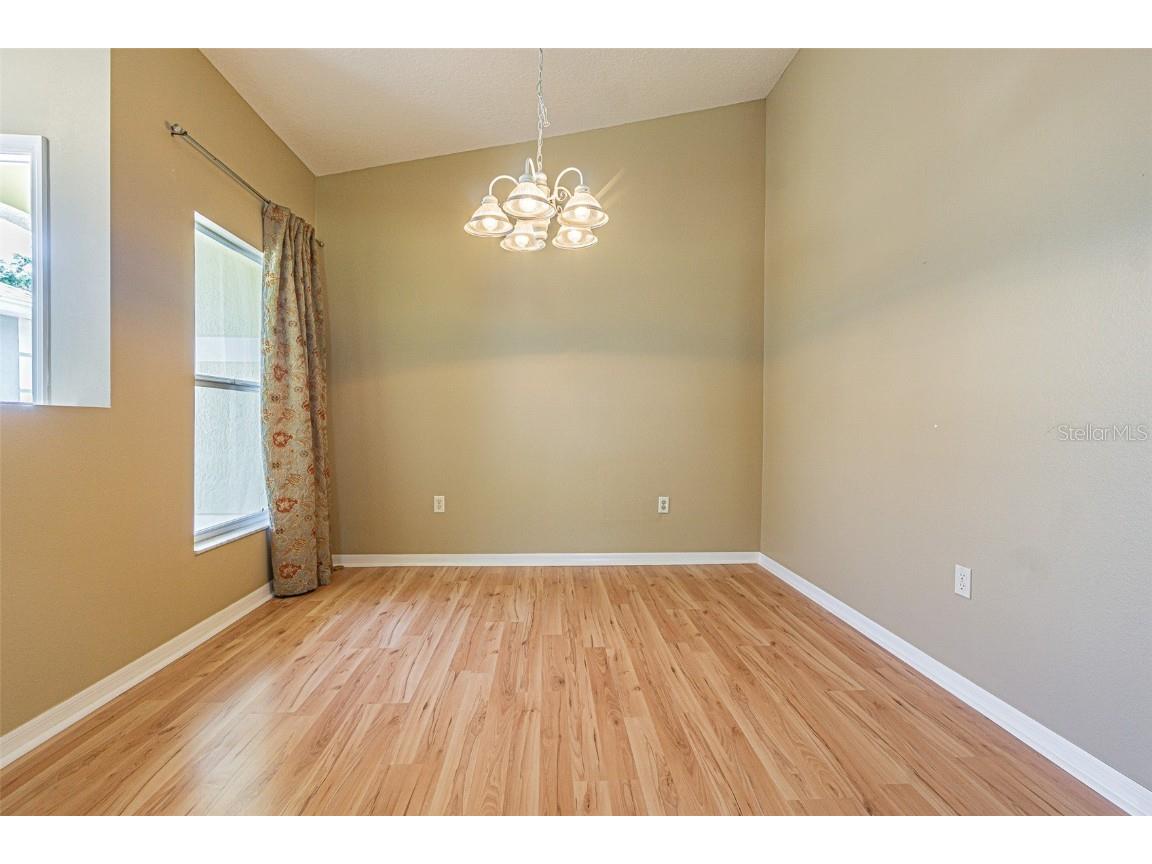 10809 Collar Drive San Antonio FL 33576 TB8375188 image19