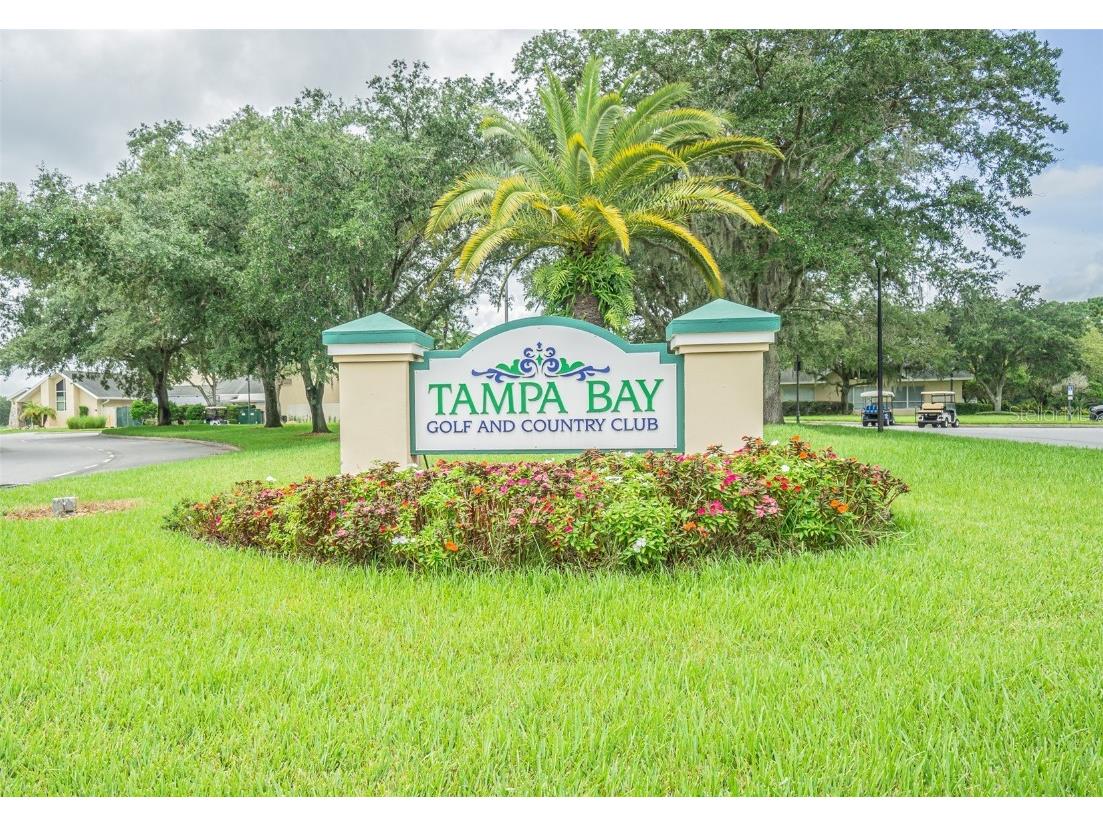 10809 Collar Drive San Antonio FL 33576 TB8375188 image28