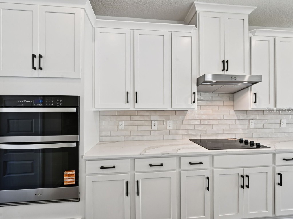 10809 Heirloom Farms Run Parrish FL 34219 O6332279 image11