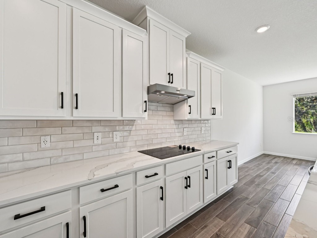 10809 Heirloom Farms Run Parrish FL 34219 O6332279 image12