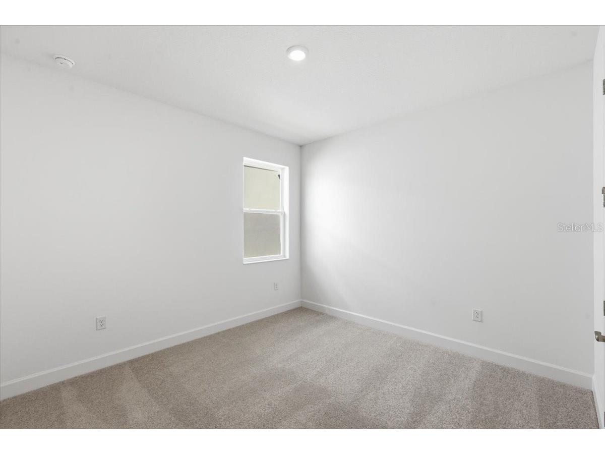 1081 Signet Apollo Beach FL 33572 O6325614 image15