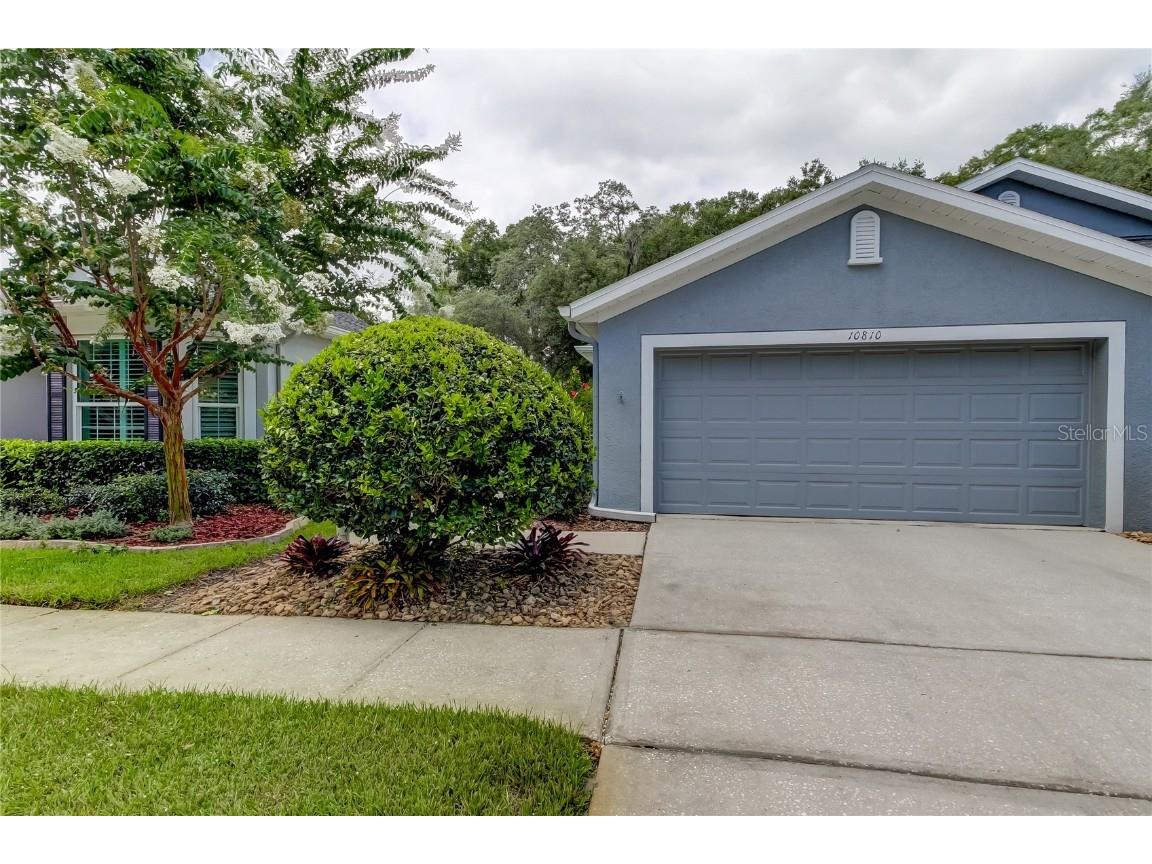 10810 Ashford Oaks Drive Tampa FL 33625 T3538377 image1
