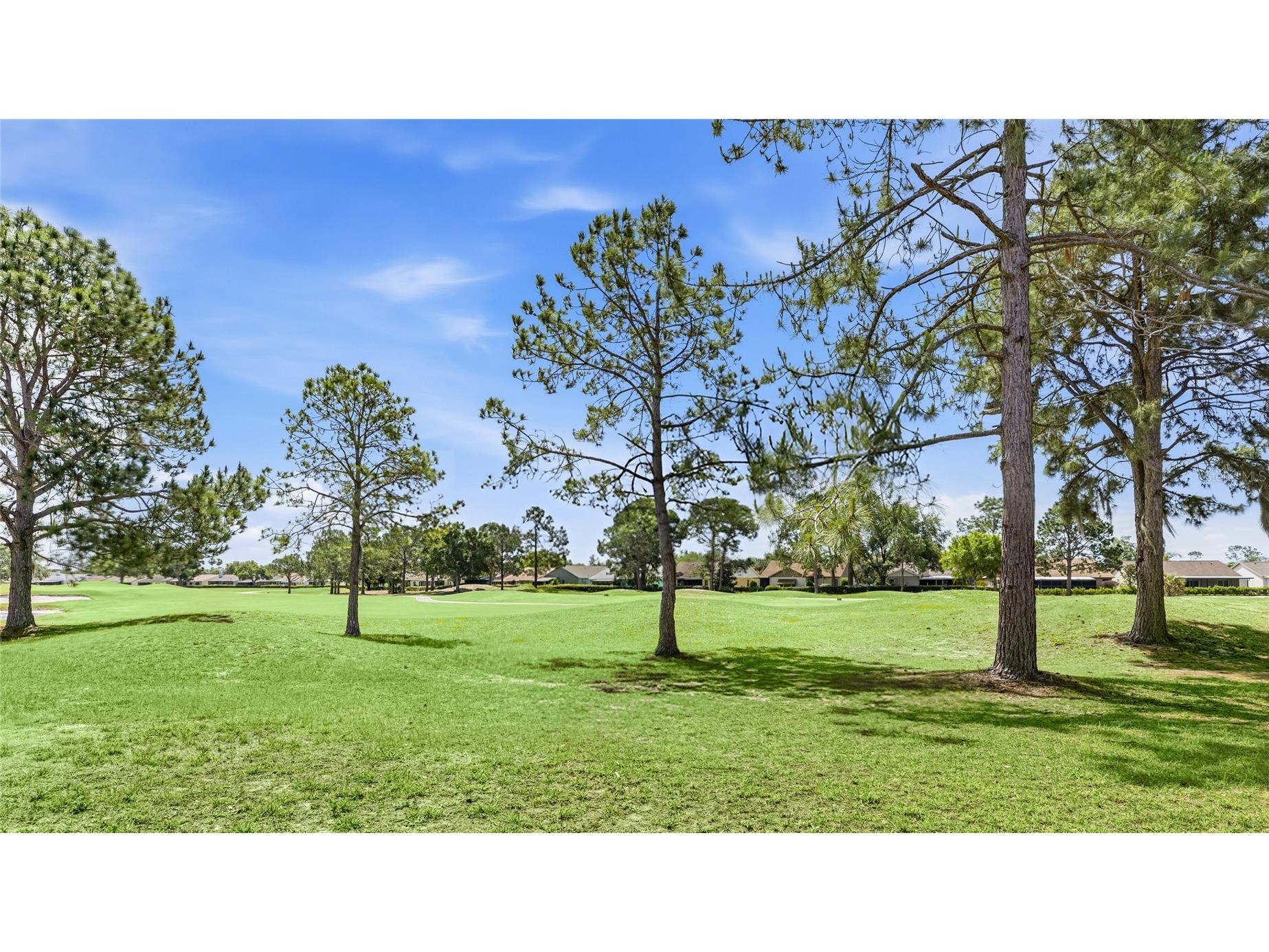 10810 Sailbrooke Drive Riverview FL 33579 A4689540 image38