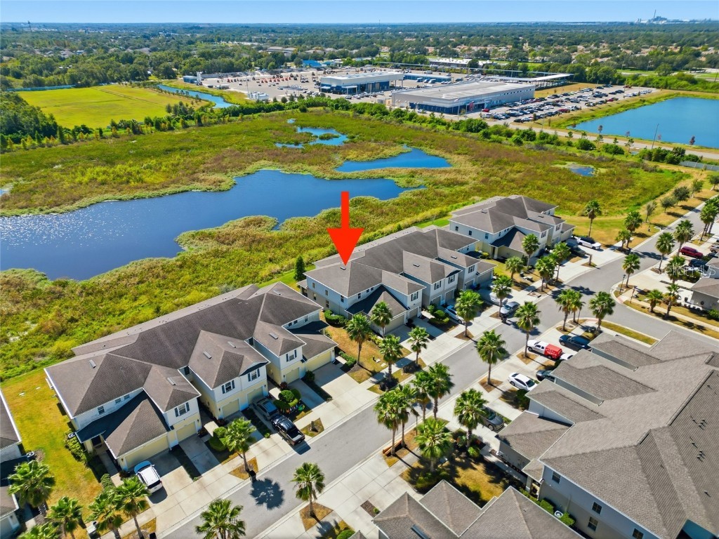 10811 Verawood Drive Riverview FL 33579 TB8442373 image2