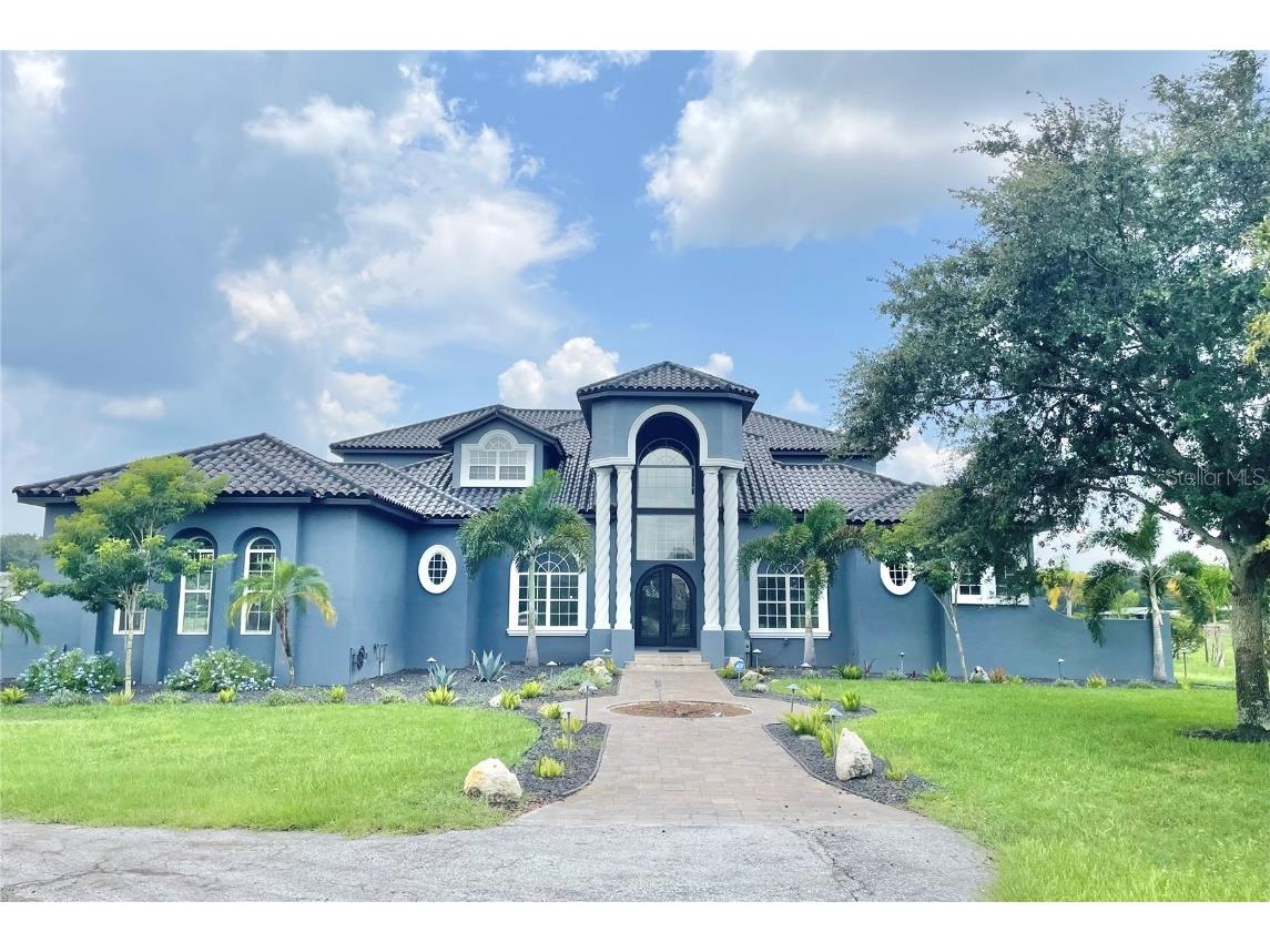 10812 Dorman Meadow Lane Lithia FL 33547 T3547384 image1