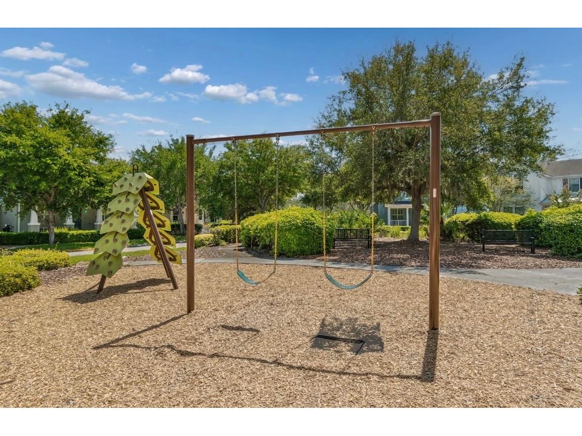 10812 Itchetucknee Way New Port Richey FL 34655 TB8510655 image22