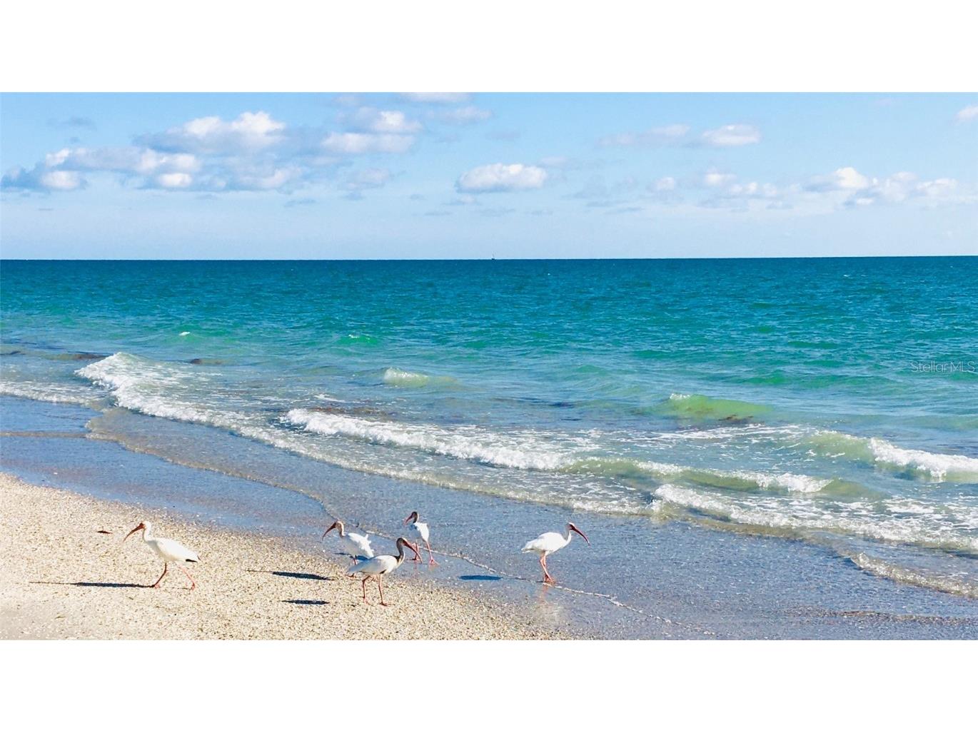 10812 Trophy Drive Englewood FL 34223 N6139550 image98