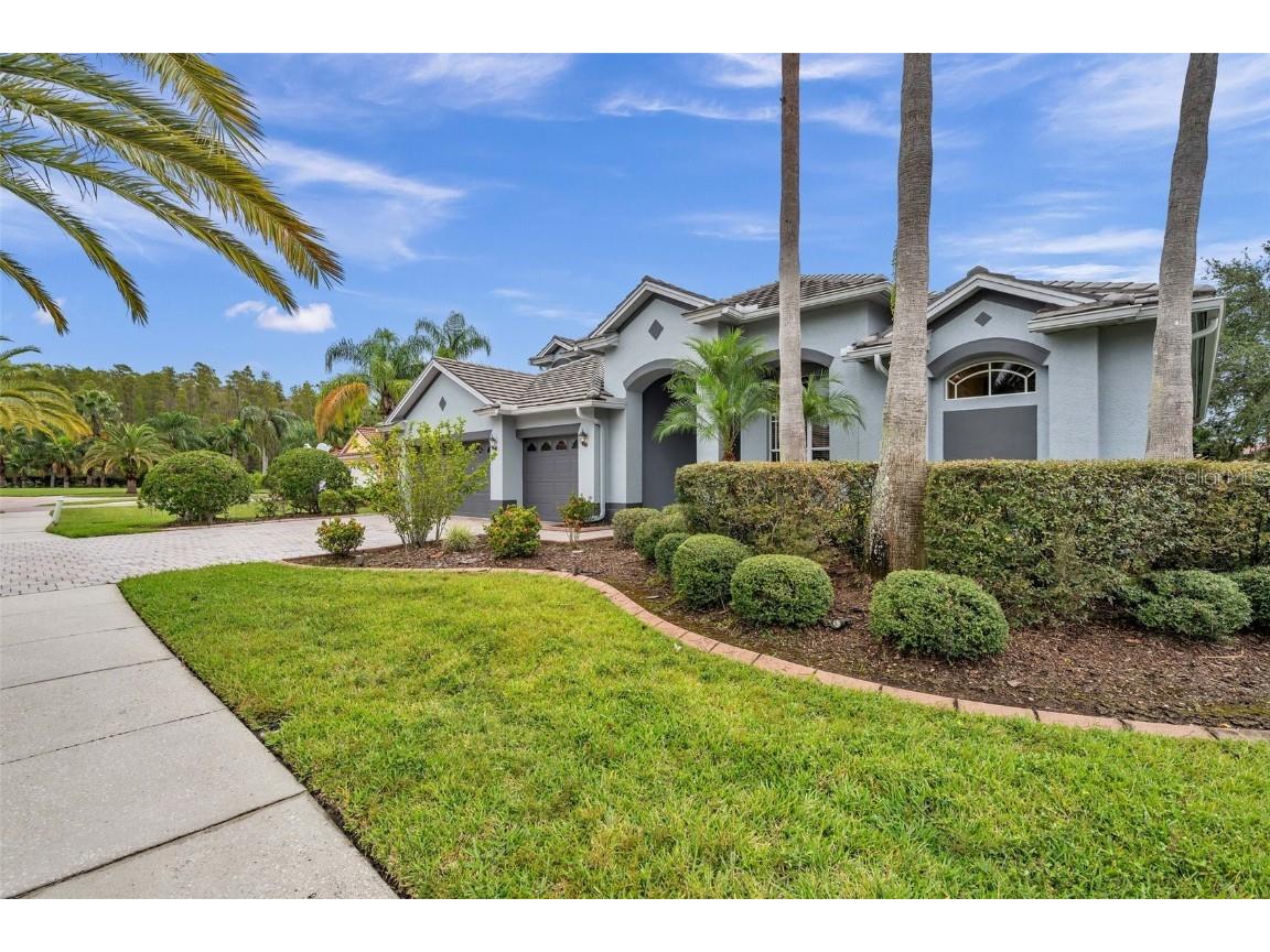 10813 Barbados Isle Drive Tampa FL 33647 U8217842 image1