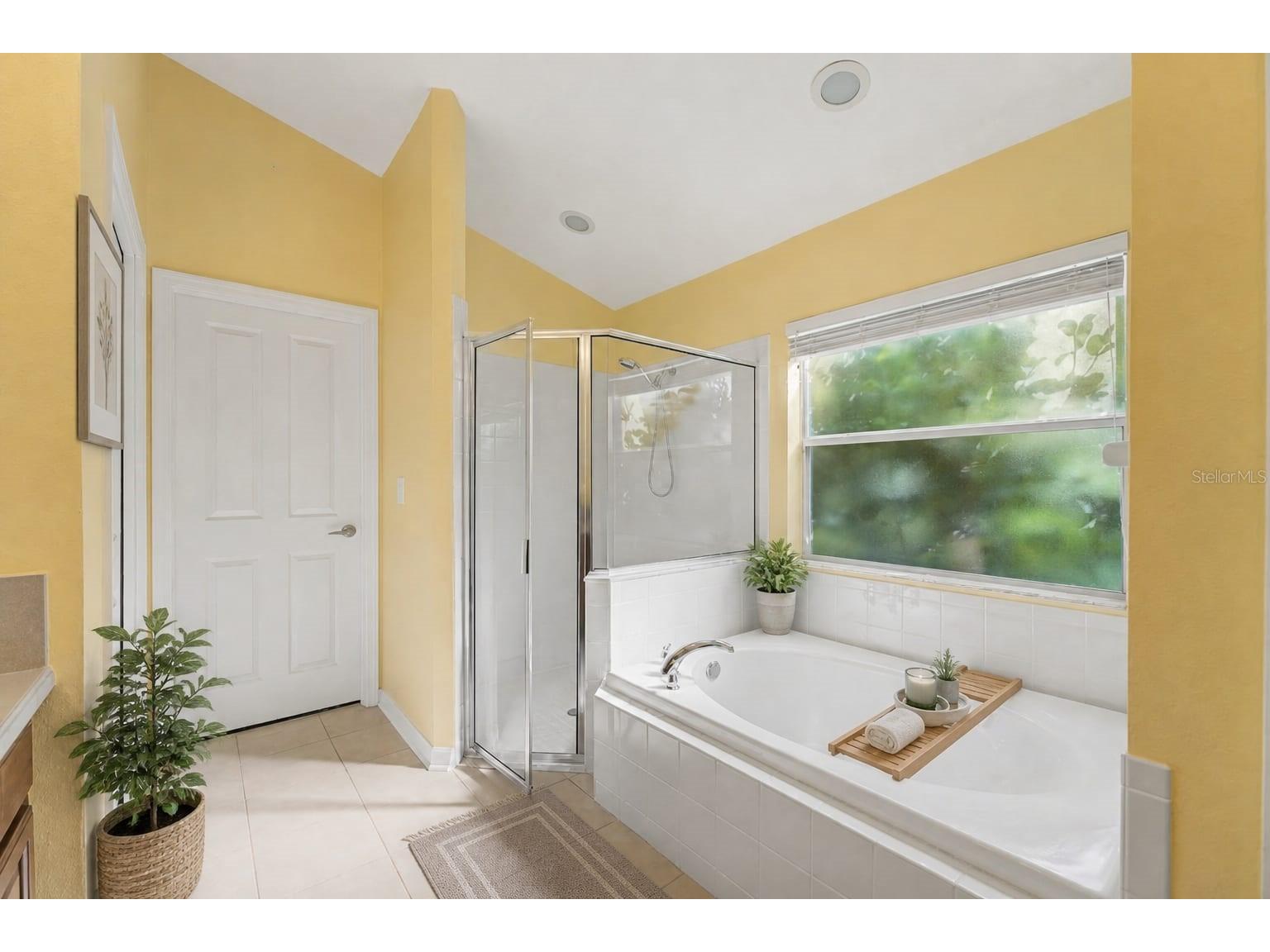 10813 Rockledge View Drive Riverview FL 33579 TB8479572 image33