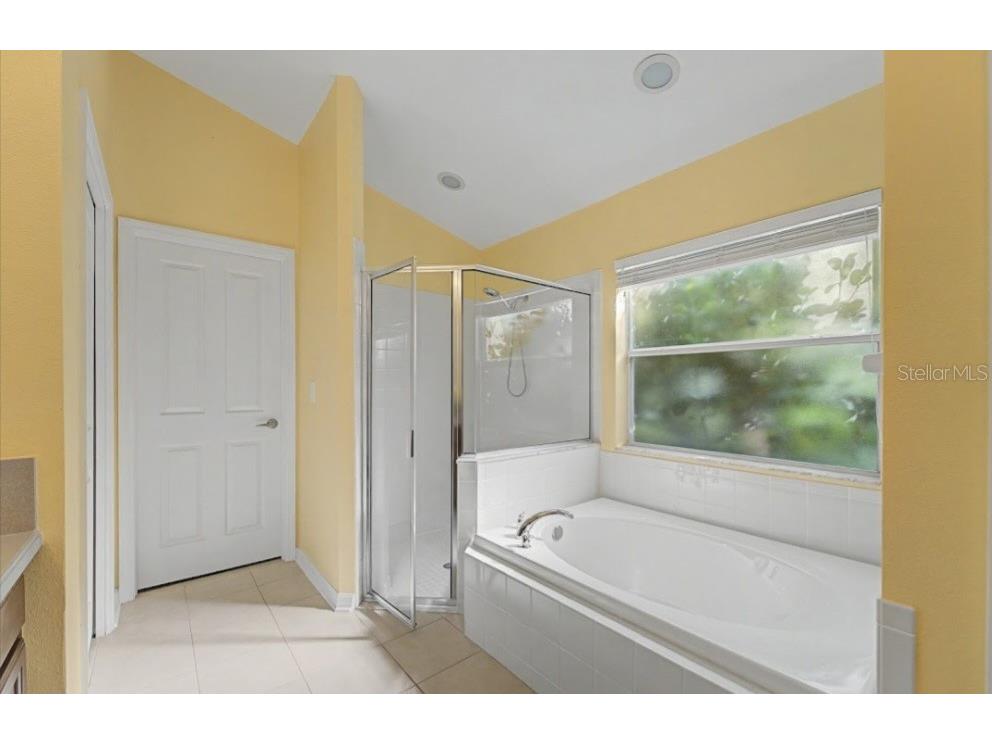10813 Rockledge View Drive Riverview FL 33579 TB8479572 image34