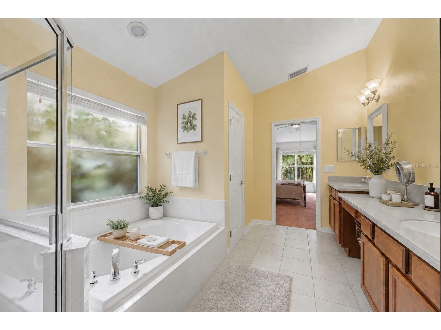 10813 Rockledge View Drive Riverview FL 33579 TB8479572 image35