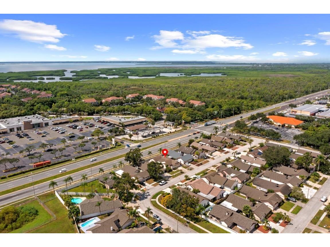 10813 Venice Circle Tampa FL 33635 TB8430947 image5