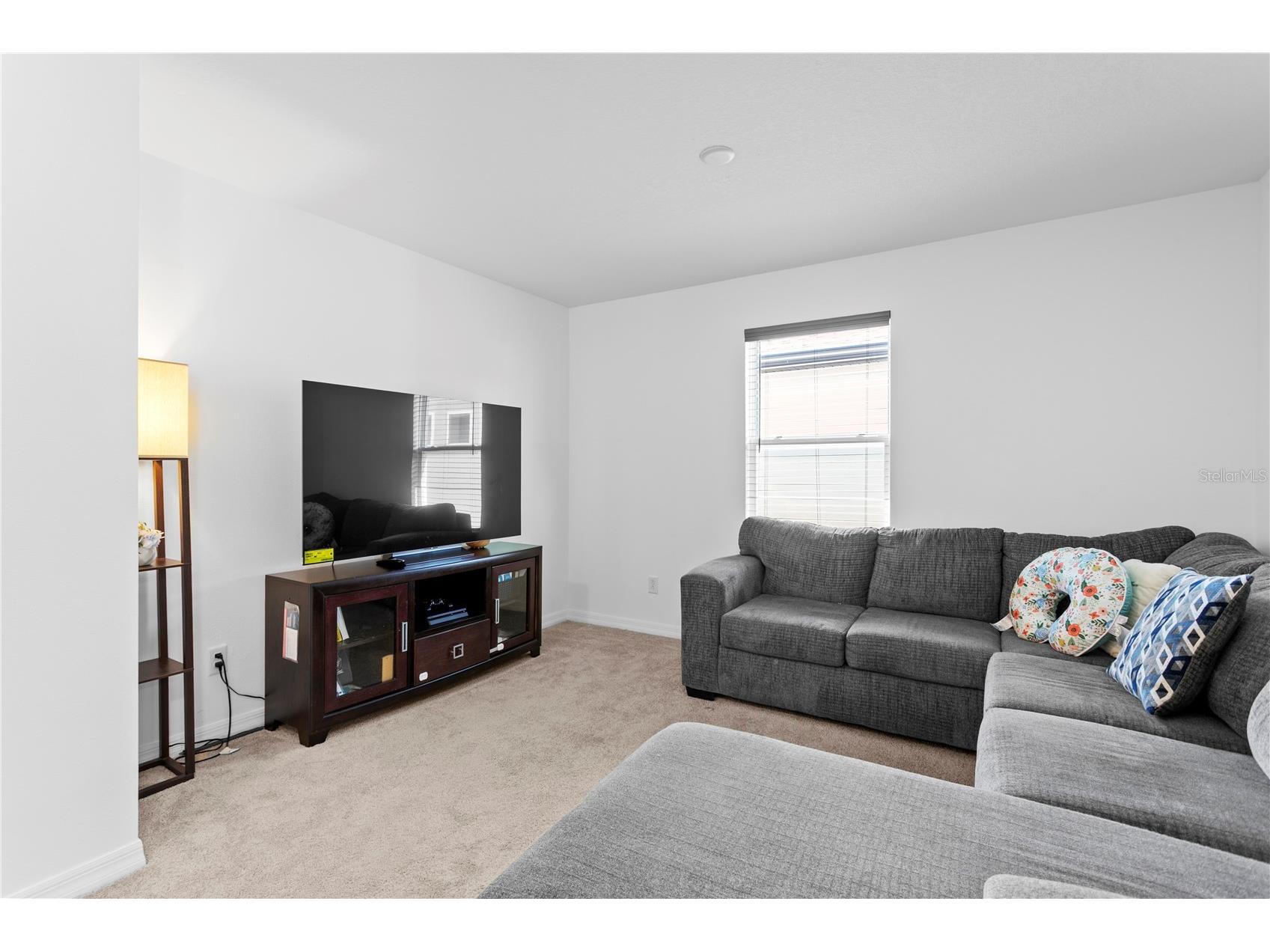 10813 Windswept Garden Way Tampa FL 33647 TB8489320 image21