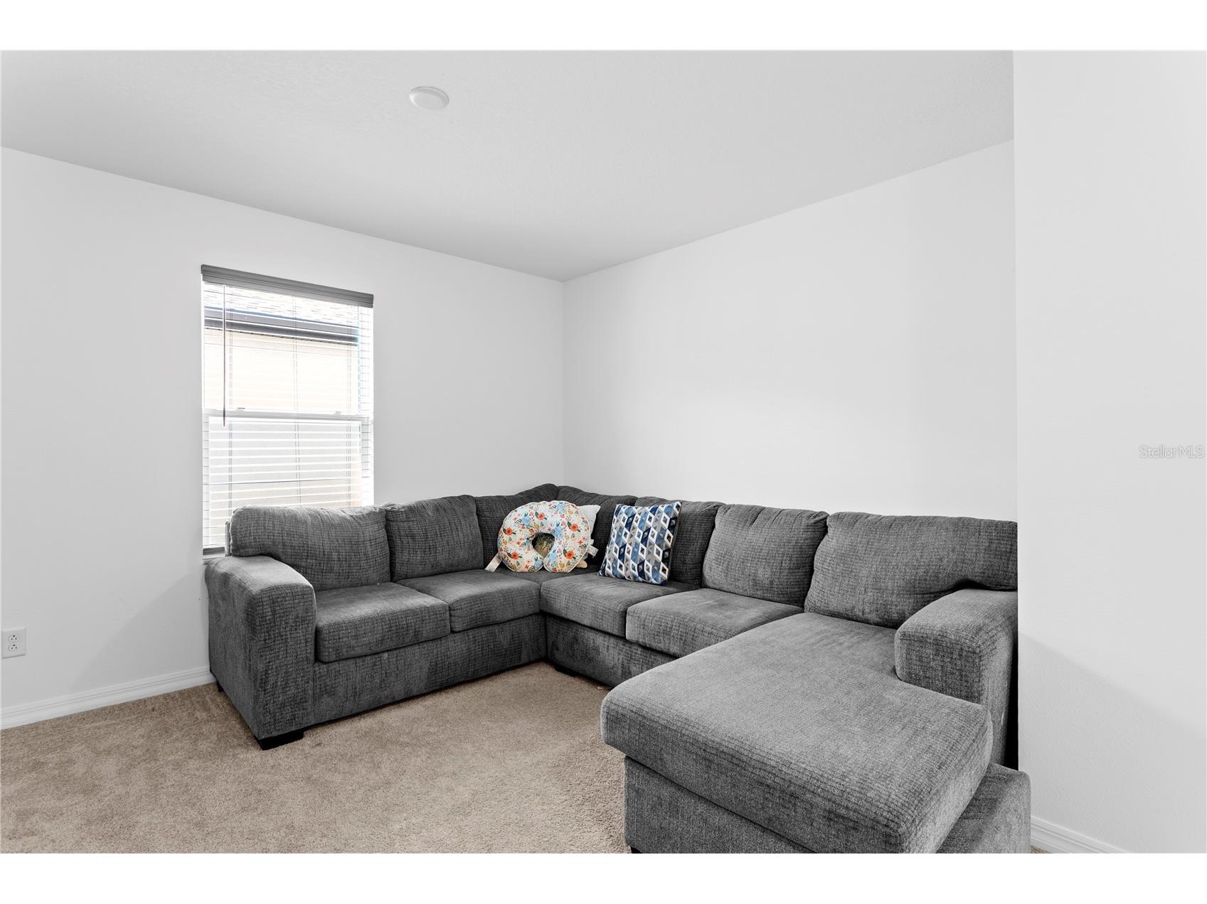 10813 Windswept Garden Way Tampa FL 33647 TB8489320 image22