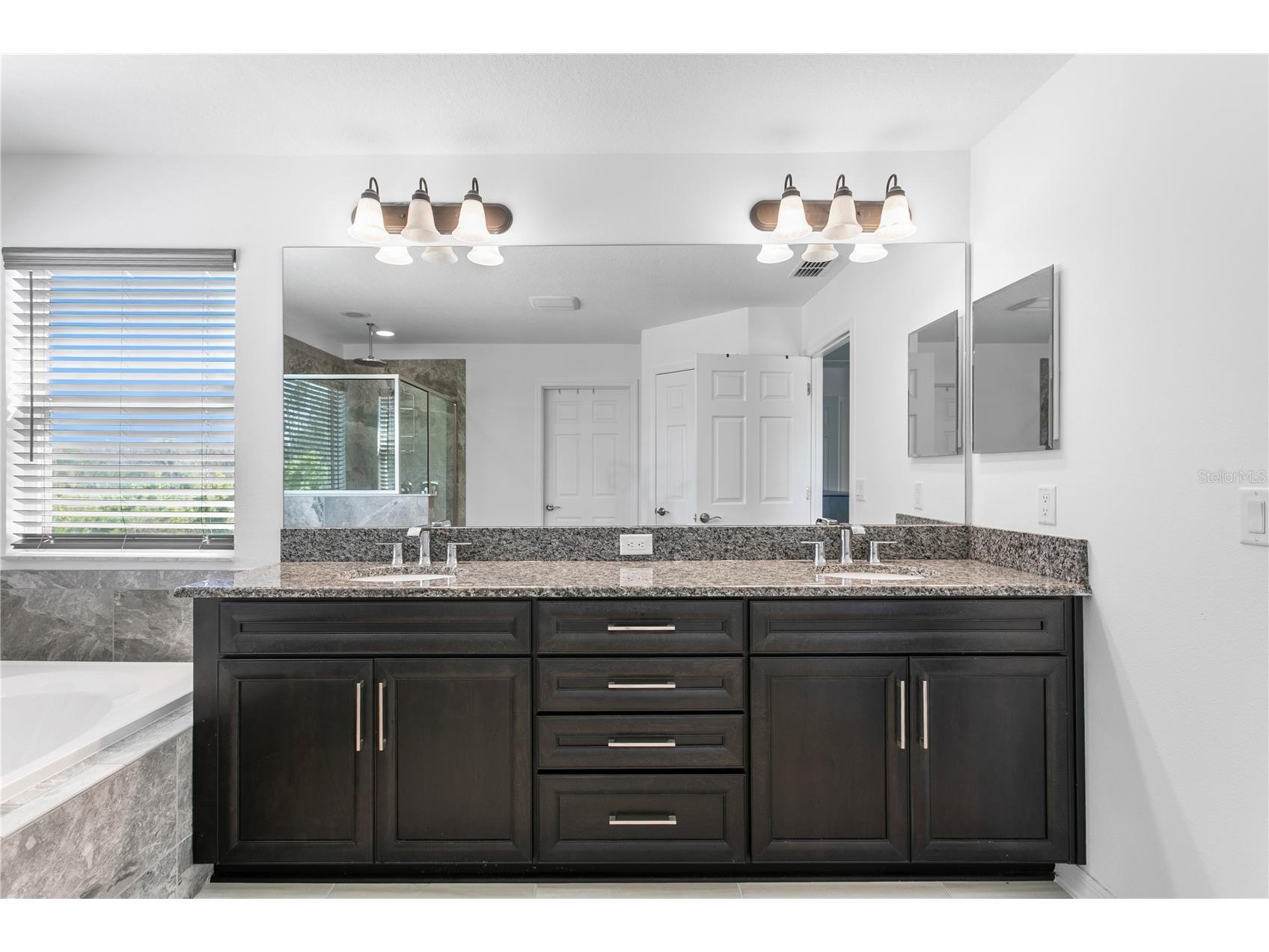 10813 Windswept Garden Way Tampa FL 33647 TB8489320 image28