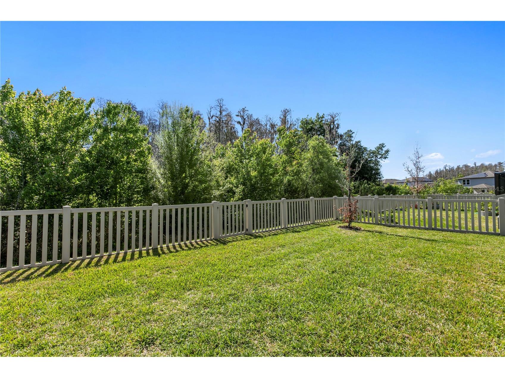 10813 Windswept Garden Way Tampa FL 33647 TB8489320 image39