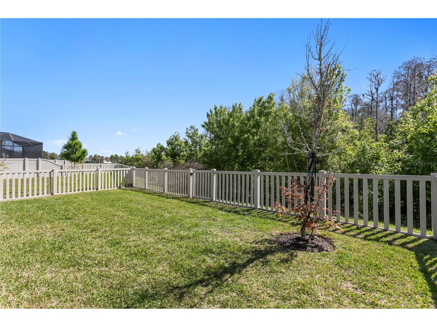 10813 Windswept Garden Way Tampa FL 33647 TB8489320 image41