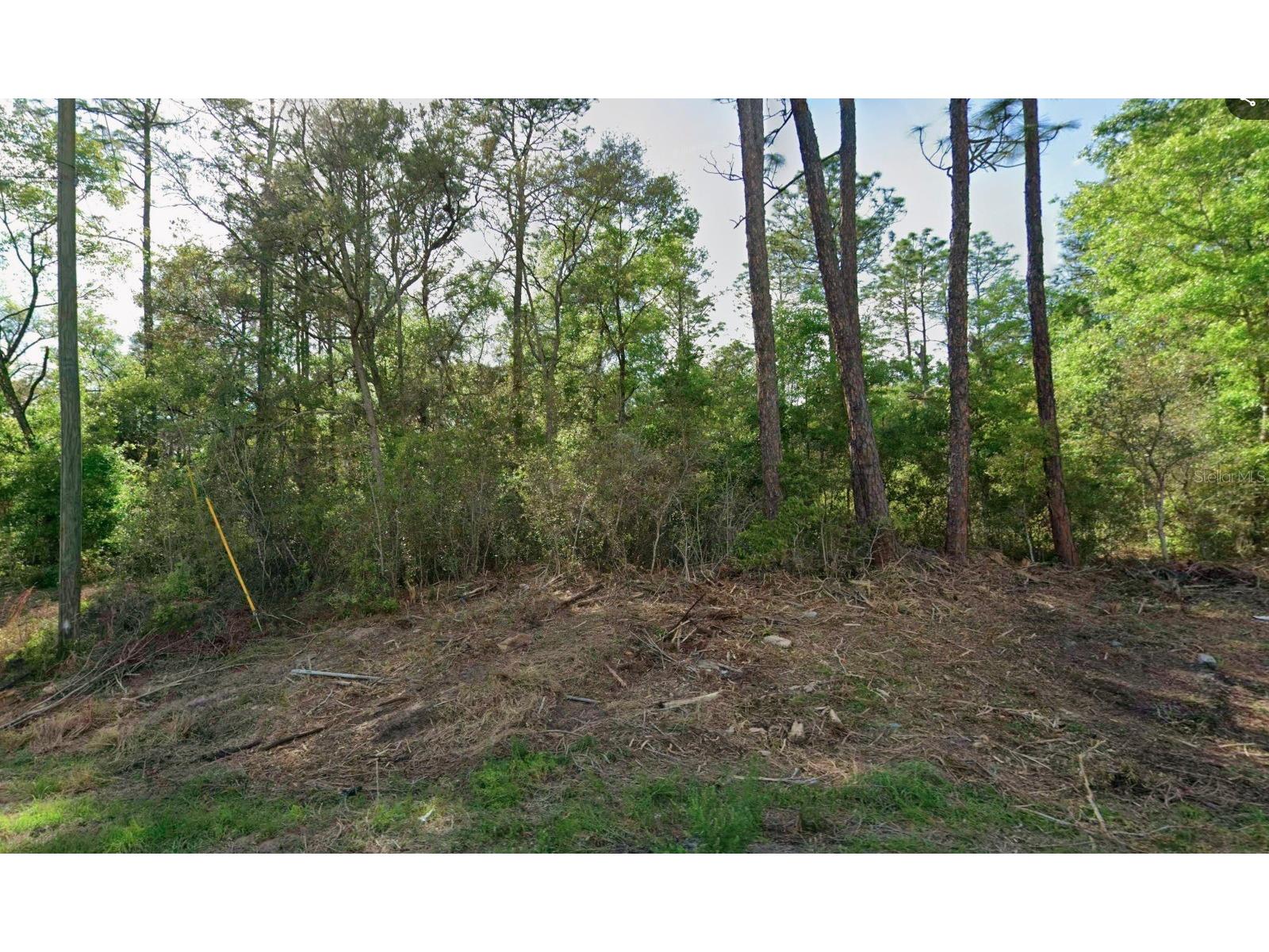 10814 N Hatari Drive Citrus Springs FL 34434 O6423354 image1