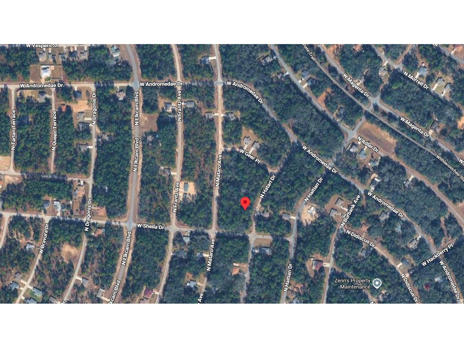 10814 N Hatari Drive Citrus Springs FL 34434 O6423354 image3