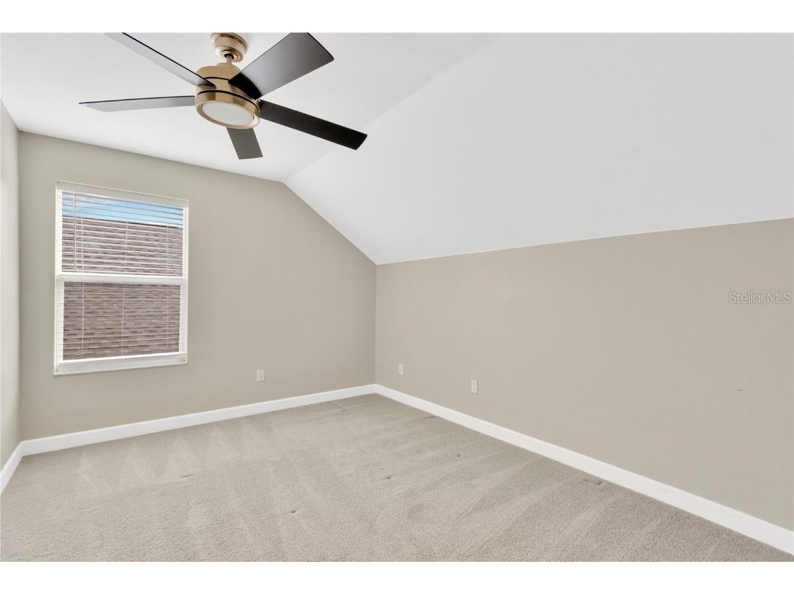 10814 Newbridge Drive Riverview FL 33579 TB8335920 image19