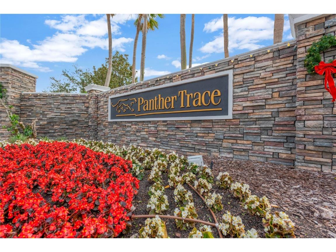 10814 Newbridge Drive Riverview FL 33579 TB8335920 image29