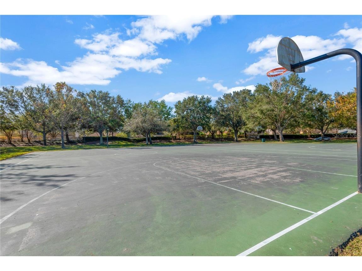 10814 Newbridge Drive Riverview FL 33579 TB8335920 image36