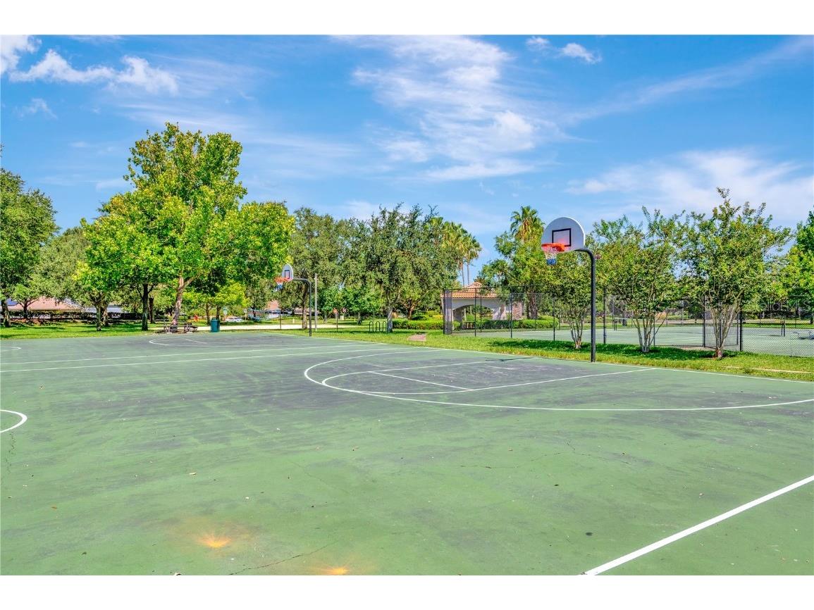 10814 Newbridge Drive Riverview FL 33579 TB8335920 image37