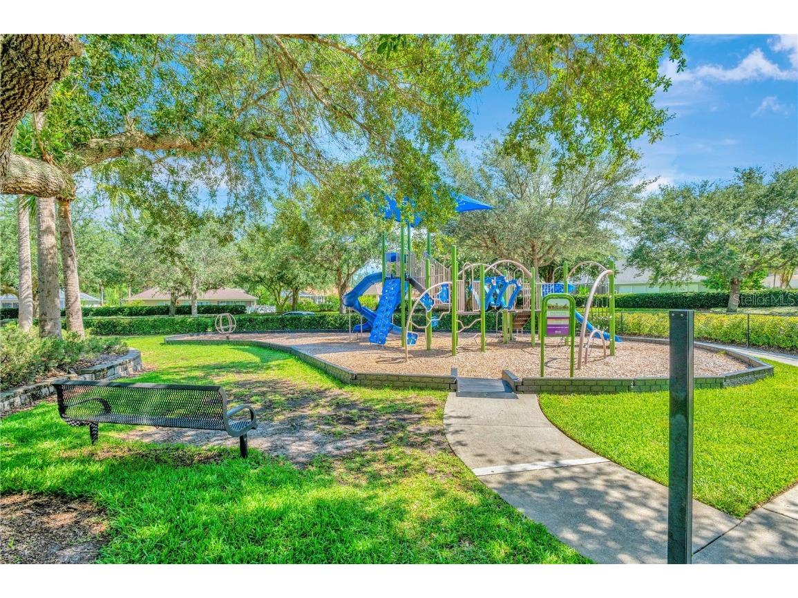 10814 Newbridge Drive Riverview FL 33579 TB8335920 image39