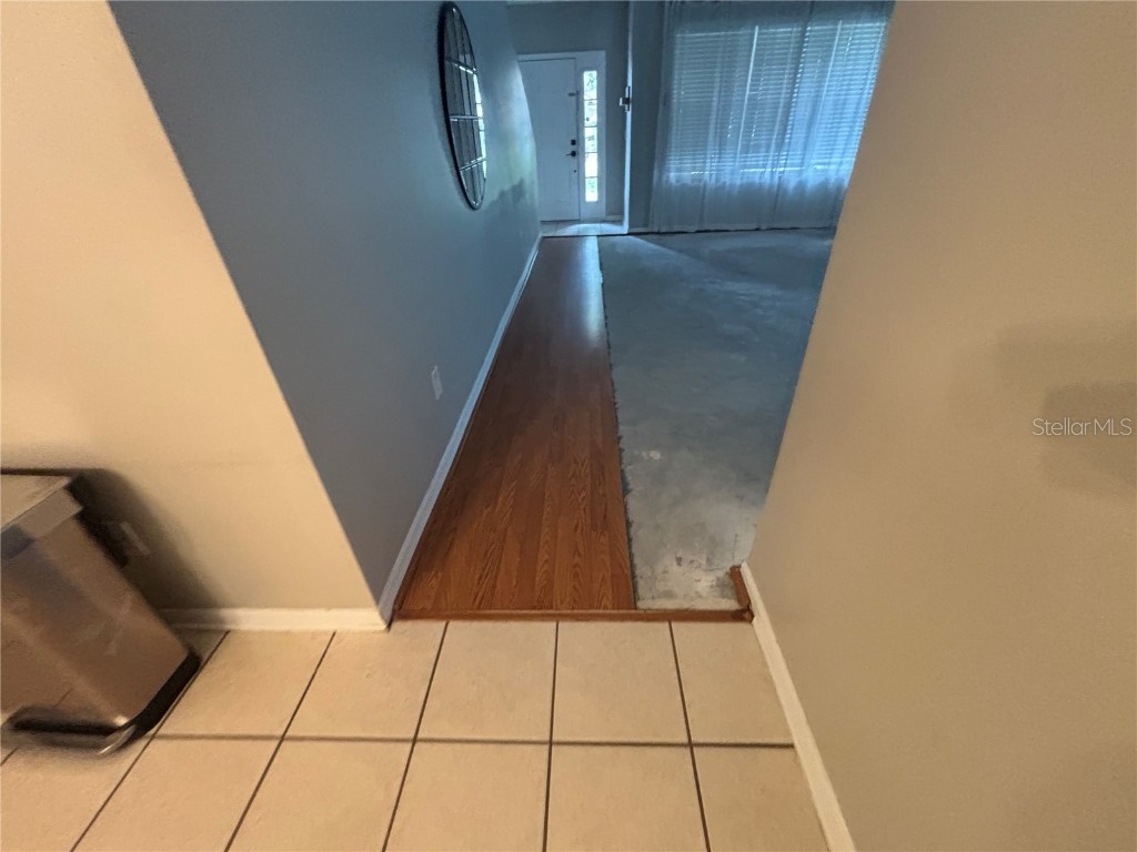 10814 Newbridge Drive Riverview FL 33579 TB8335920 image44