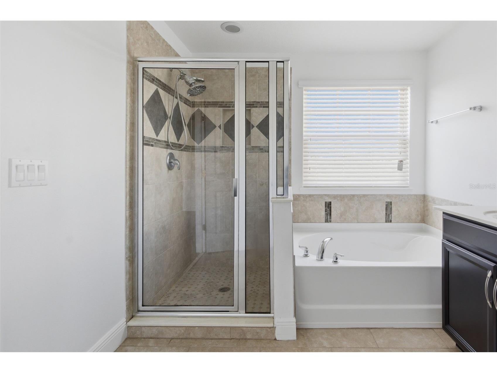 10814 Sunset Ridge Lane Orlando FL 32832 O6378392 image31