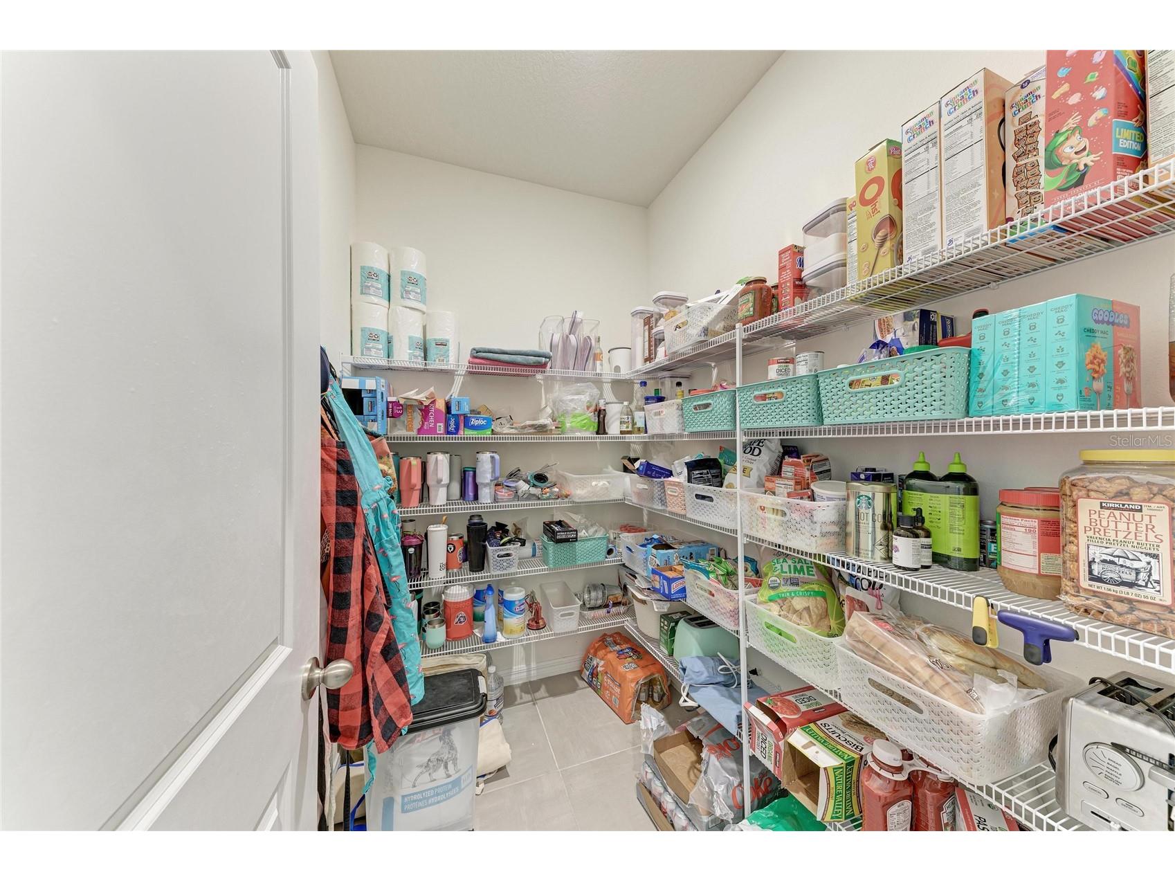 10815 Charlotte Drive Parrish FL 34219 A4696056 image20