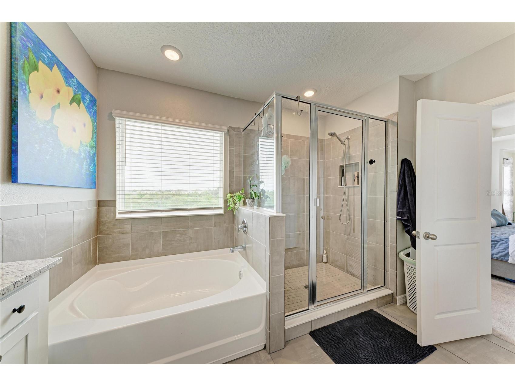 10815 Charlotte Drive Parrish FL 34219 A4696056 image28