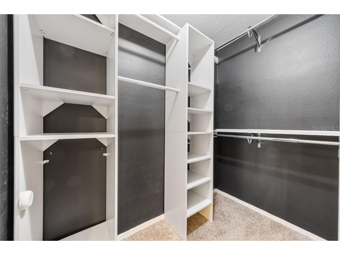 10815 Venice Circle Tampa FL 33635 TB8449720 image14