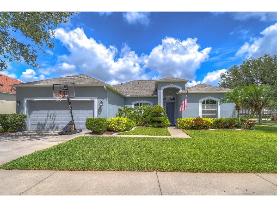 10816 Australian Pine Drive Riverview FL 33579 T3447621 image1
