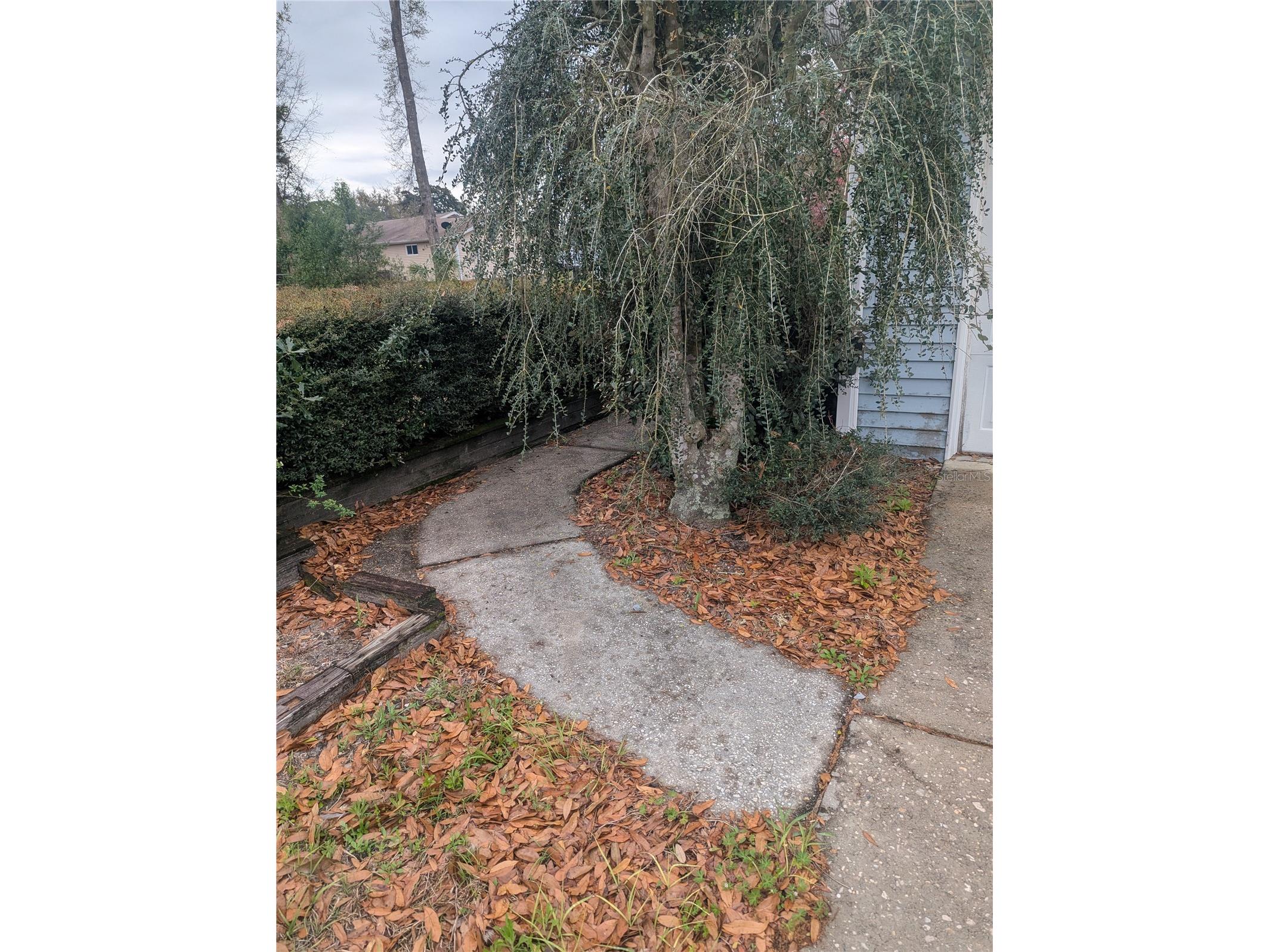 10816 SW 83rd Avenue Ocala FL 34481 OM721242 image2