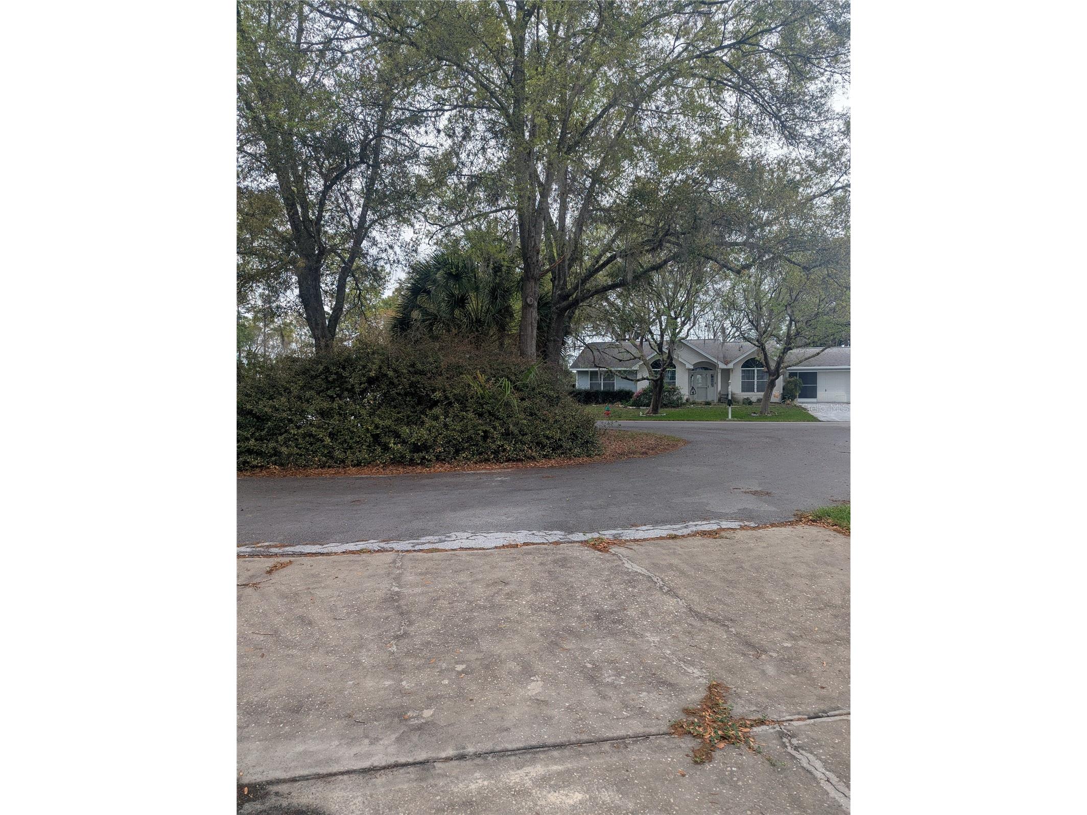 10816 SW 83rd Avenue Ocala FL 34481 OM721242 image53