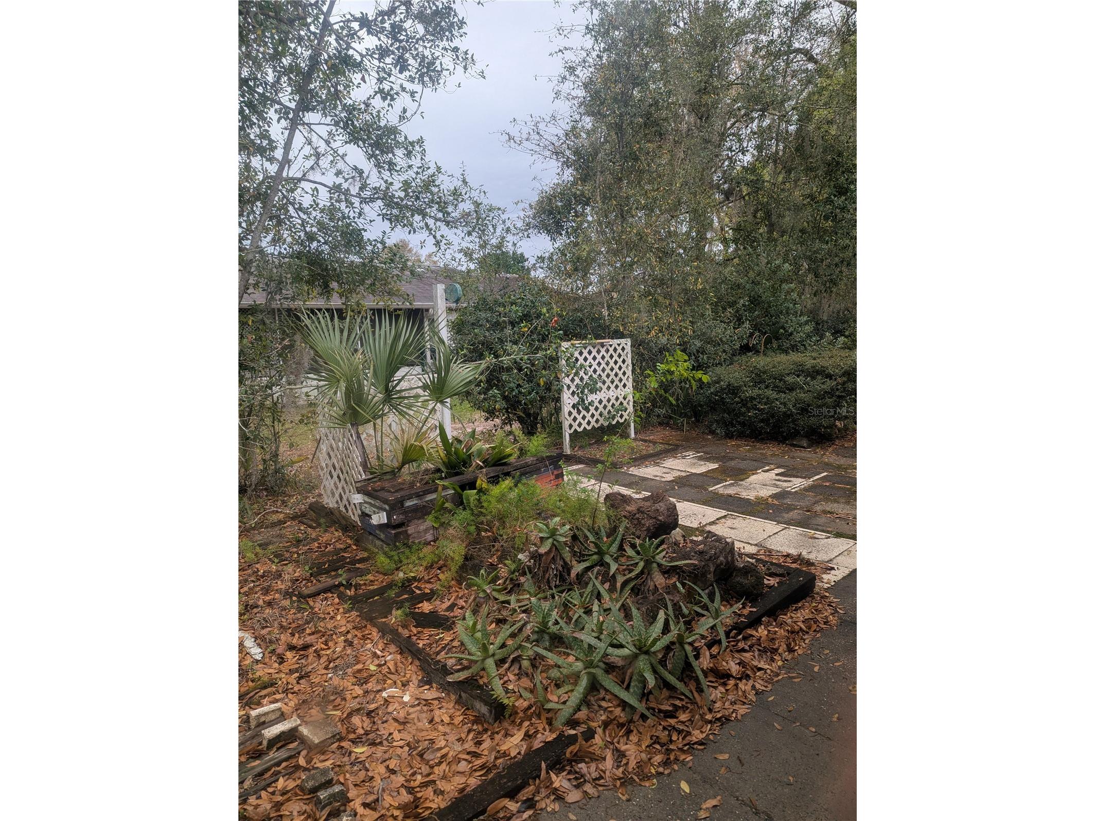 10816 SW 83rd Avenue Ocala FL 34481 OM721242 image63