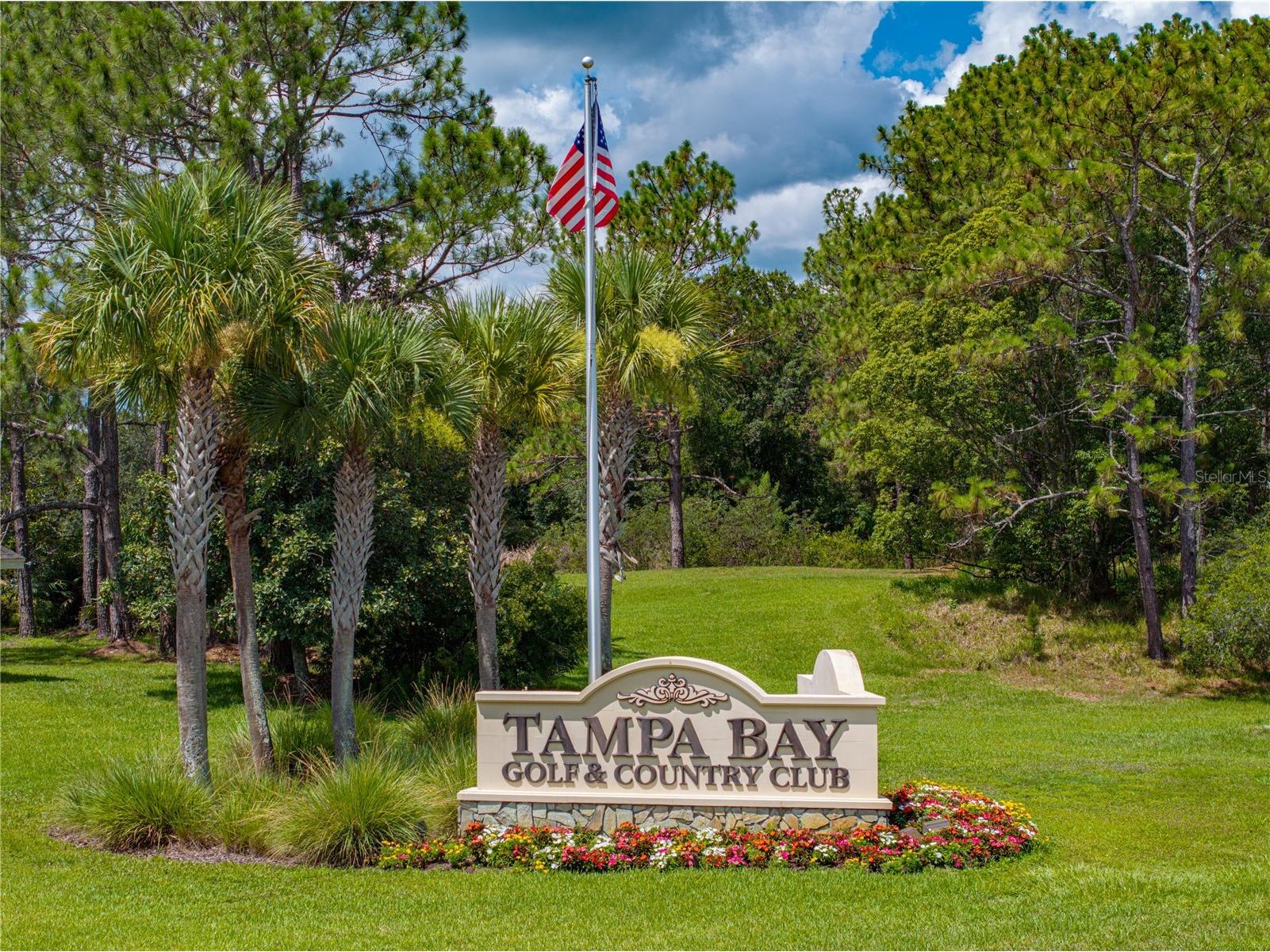 10817 Hock Lane San Antonio FL 33576 TB8497759 image43