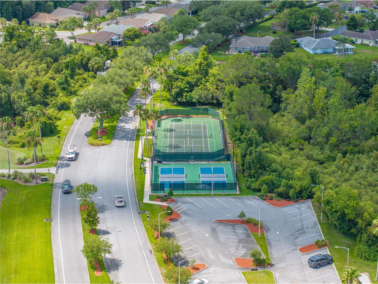 10817 Hock Lane San Antonio FL 33576 TB8497759 image53